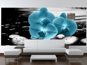 Fototapeta Tyrkysová orchidej a kameny Materiál: Samolepící, Rozměry: 200 x 135 cm