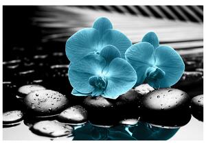 Fototapeta Tyrkysová orchidej a kameny Materiál: Samolepící, Rozměry: 200 x 135 cm