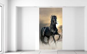 Fototapeta Nádherný černý kůň Materiál: Samolepící, Rozměry: 200 x 135 cm