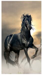 Fototapeta Nádherný černý kůň Materiál: Samolepící, Rozměry: 200 x 135 cm