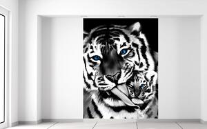 Fototapeta Černobílý tygr a tygřík Materiál: Vliesová, Velikost: 150 x 200 cm