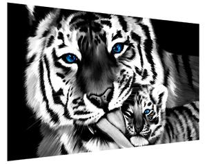 Fototapeta Černobílý tygr a tygřík Materiál: Vliesová, Rozměry: 200 x 135 cm