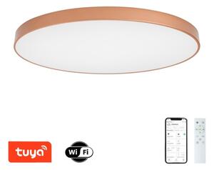 BRILAGI-LED Stmív. svítidlo POOL SMART LED/180W/230V 120 cm Wi-Fi Tuya bronz+DO