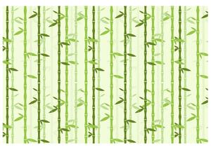 Fototapeta Bambusový motiv Materiál: Vliesová, Rozměry: 402 x 240 cm