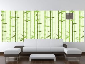 Fototapeta Bambusový motiv Materiál: Samolepící, Rozměry: 536 x 240 cm
