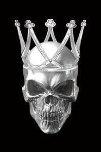 Signal Obraz Skull 80x120 černý/stříbrný