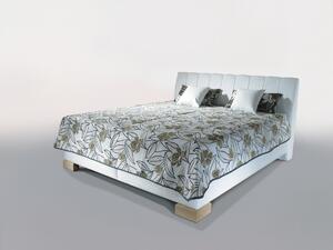 Čalouněná postel CASSA s úložným prostorem včetně polohovacího roštu Plocha spaní 160x200