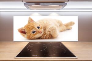Skleněný panel do kuchynské linky Červená kočka pl-pksh-125x50-f-126034635