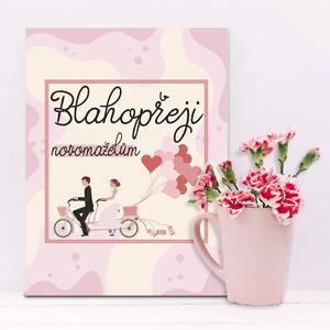Sablio Dárková cedulka Blahopřeji novomanželům: 30x40 cm
