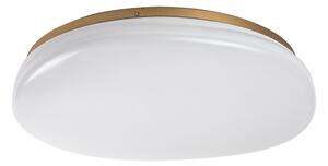 Rabalux 75053 - LED Koupel. stropní svítidlo CALIOPE LED/24W/230V IP44 pr. 41 cm