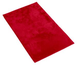 Bellatex BANY MICRO předložka 50x80 cm červená