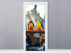 Fototapeta na dveře Barevní papoušci Materiál: Samolepící, Rozměry: 95 x 205 cm