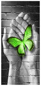 Fototapeta na dveře Zelený motýl v dlaních Materiál: Samolepící, Rozměry: 95 x 205 cm