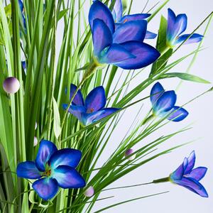 Okrasná tráva svazek modré květy 70 cm