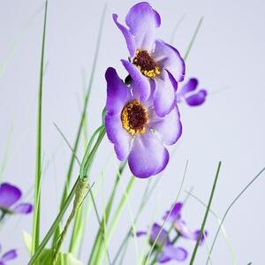 Okrasná tráva svazek, fialové květy 70 cm