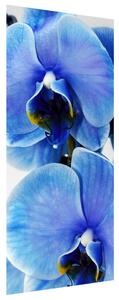 Fototapeta na dveře Modrá orchidej Materiál: Samolepící, Rozměry: 95 x 205 cm