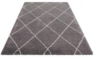 Kusový koberec SHAGGY XSH-4 160x230cm