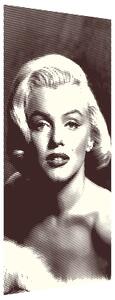 Fototapeta na dveře Marilyn Monroe - Norma Jeane Mortenson Materiál: Samolepící, Rozměry: 95 x 205 cm