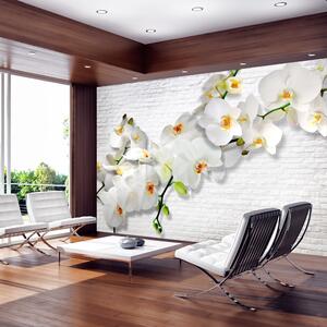Fototapeta - Bílá orchidej II 200x140 + zdarma lepidlo