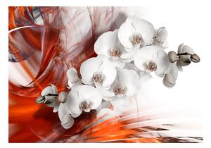 Fototapeta - Orchidej v ohni II 200x140 + zdarma lepidlo