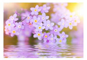 Fototapeta - Fialové květy 200x140 + zdarma lepidlo