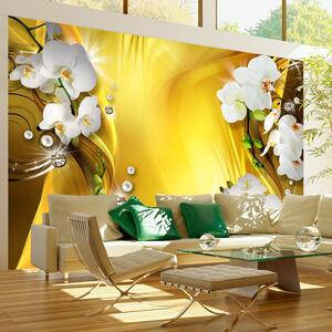 Fototapeta - Orchideje zlaté 250x175 + zdarma lepidlo