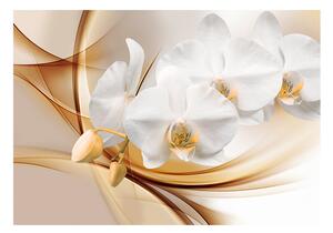 Fototapeta - Květ orchideje 200x140 + zdarma lepidlo