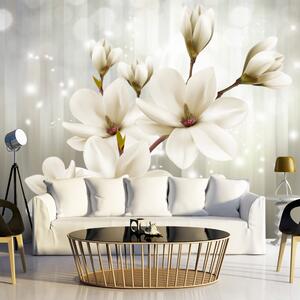 Fototapeta - Bílé květy 250x175 + zdarma lepidlo