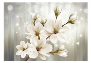 Fototapeta - Bílé květy 300x210 + zdarma lepidlo