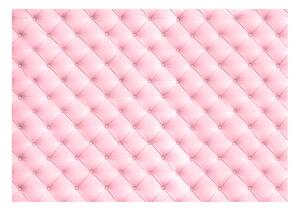 Fototapeta - Růžový polstr 250x175 + zdarma lepidlo