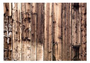 Fototapeta - Poezie ze dřeva 250x175 + zdarma lepidlo