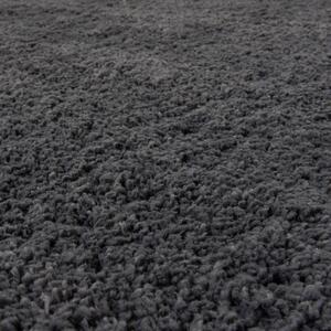 Flair Rugs koberce Kusový koberec Shaggy Teddy Charcoal - 80x150 cm