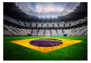 Fototapeta - Brazilský stadion 200x140 + zdarma lepidlo