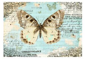 Fototapeta - Pohlednice s motýlem 250x175 + zdarma lepidlo
