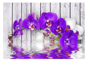 Fototapeta - Fialové květy na dřevě 200x140 + zdarma lepidlo