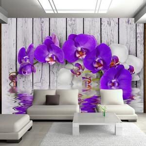 Fototapeta - Fialové květy na dřevě 200x140 + zdarma lepidlo