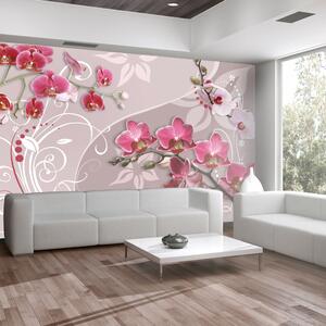 Fototapeta - Let růžových orchidejí 250x175 + zdarma lepidlo