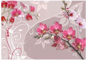 Fototapeta - Let růžových orchidejí 250x175 + zdarma lepidlo