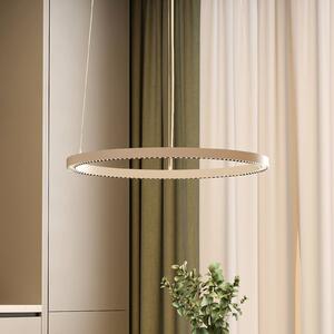 Molto Luce Závěsné světlo PERFORA PRO M, Ø 66 cm, bílá, DALI, směřující, stmívatelný, Bílá / opál, Obývací pokoj / jídelna, Hliník, Moderní