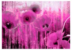 Fototapeta - Růžové šílenství 200x140 + zdarma lepidlo