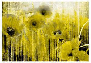 Fototapeta - Žlutá šílenství 250x175 + zdarma lepidlo
