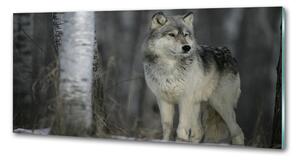 Dekorační panel sklo Šedý vlk pl-pksh-125x50-f-57875164