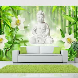 Fototapeta - Buddha a příroda 200x140 + zdarma lepidlo
