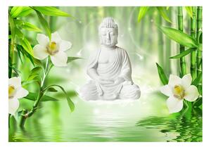 Samolepící fototapeta - Buddha a příroda 147x105