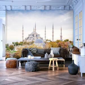 Fototapeta - Hagia Sofia - Istanbul 200x140 + zdarma lepidlo