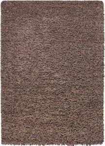 Breno Kusový koberec DREAM SHAGGY 4000 Mocca, Hnědá, Vícebarevné, 120 x 170 cm