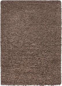 Breno Kusový koberec DREAM SHAGGY 4000 Mocca, Hnědá, Vícebarevné, 120 x 170 cm