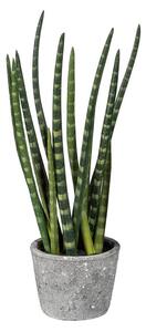 Umělý kaktus Sanseveria v květináči, 45cm