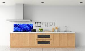 Panel do kuchyně Modrá astra pl-pksh-125x50-f-64208626
