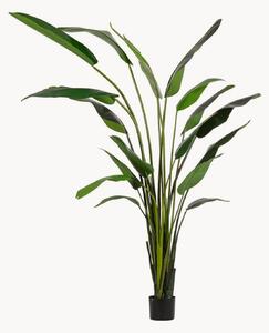Umělá rostlina Strelitzia